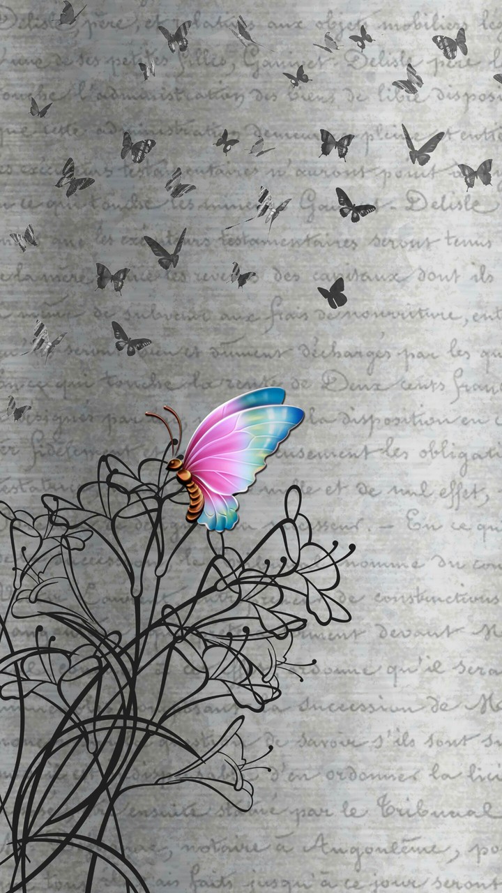 butterfly