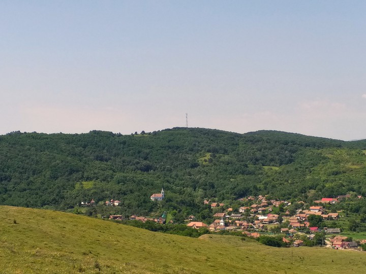 village under forest