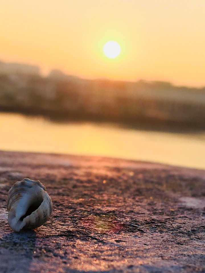 sunrise