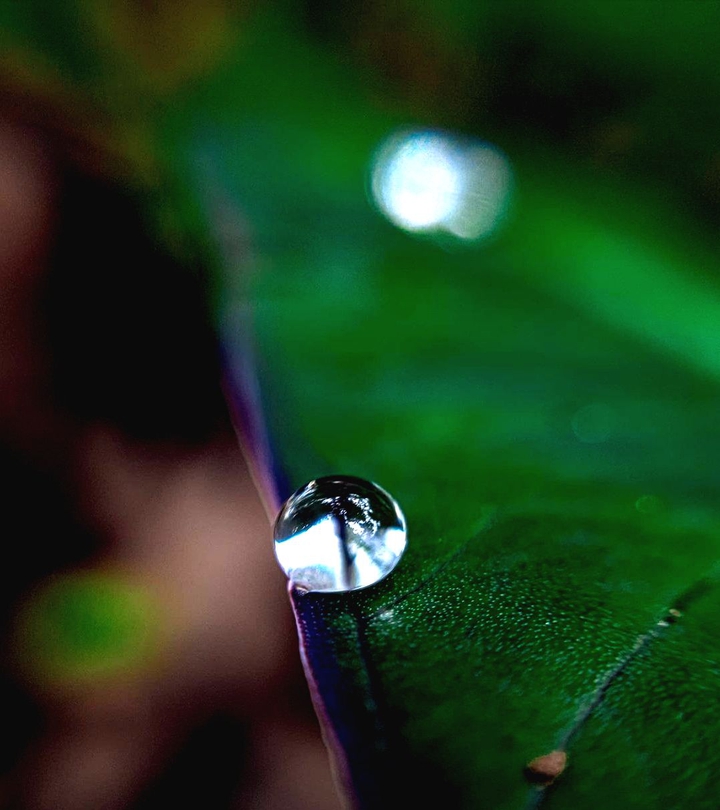nature