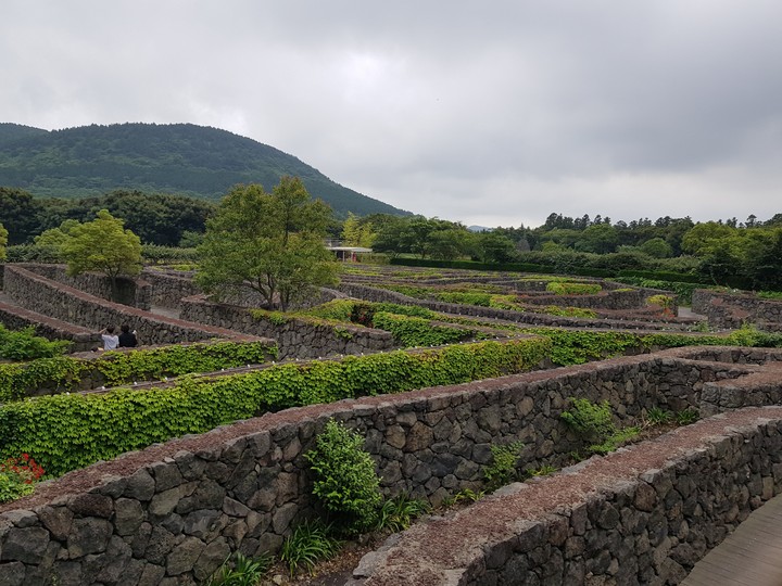 Jejudo maze