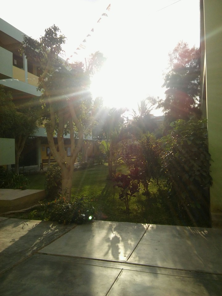 Luz