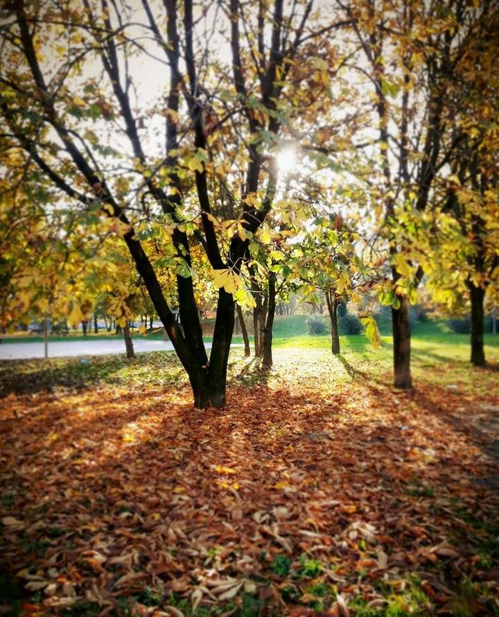 2nov