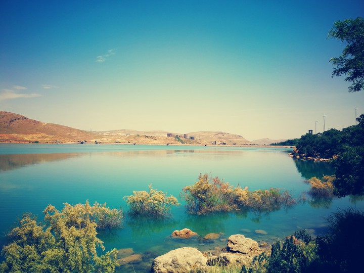 pond