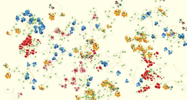 Flowerhill