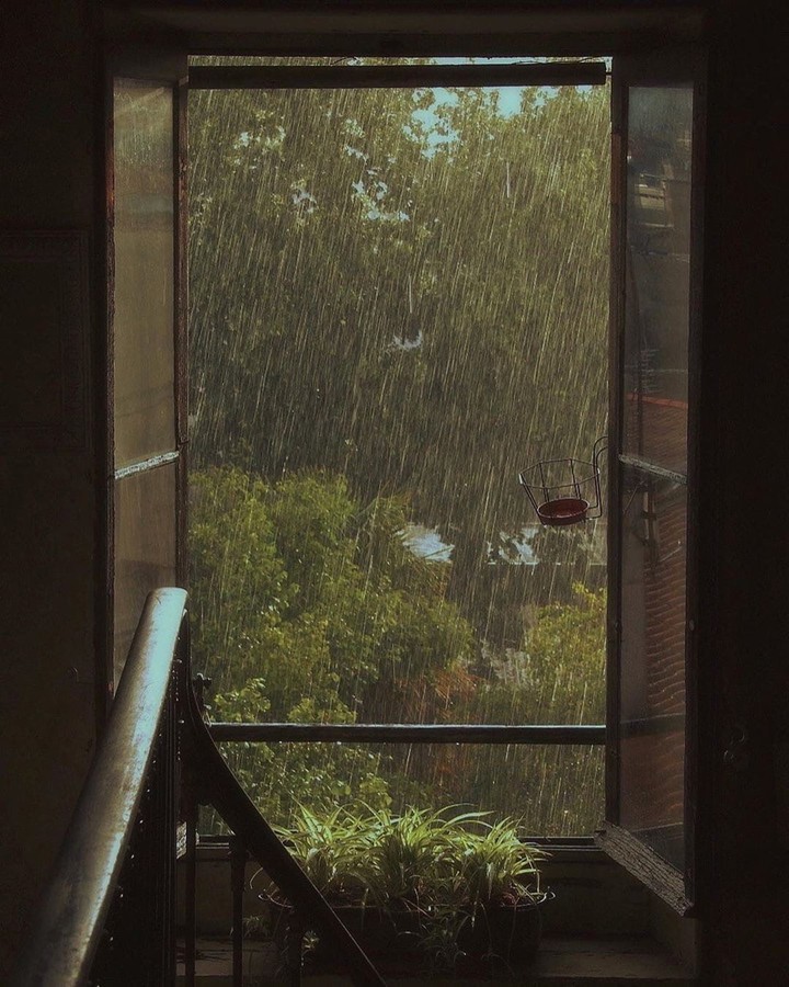 Rain