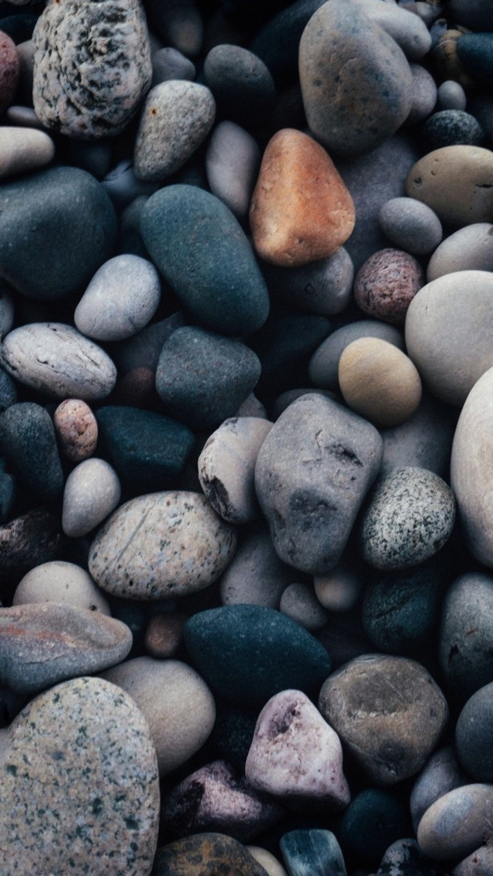 Sea Stones