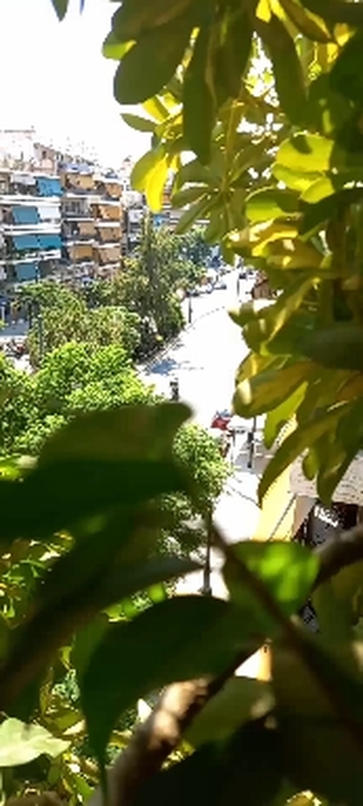 Green View