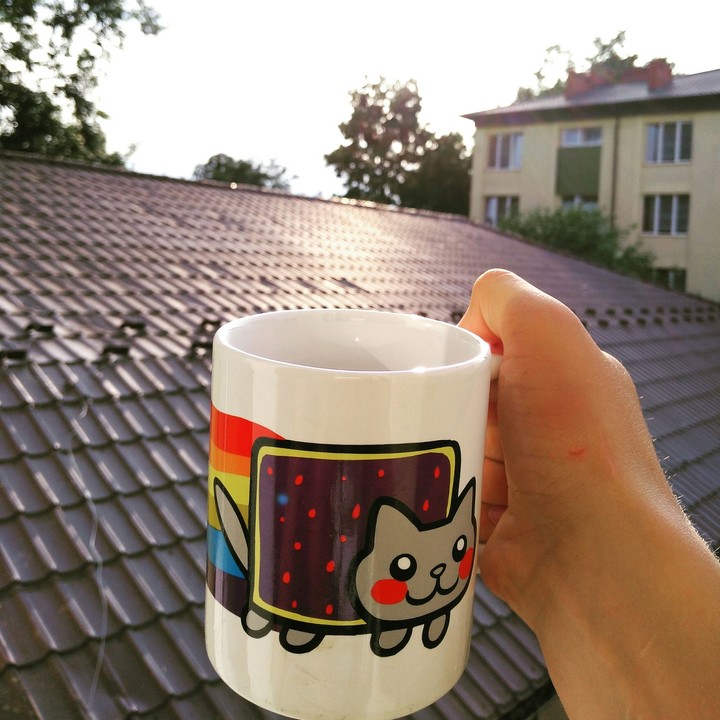 Relax with Nyancat