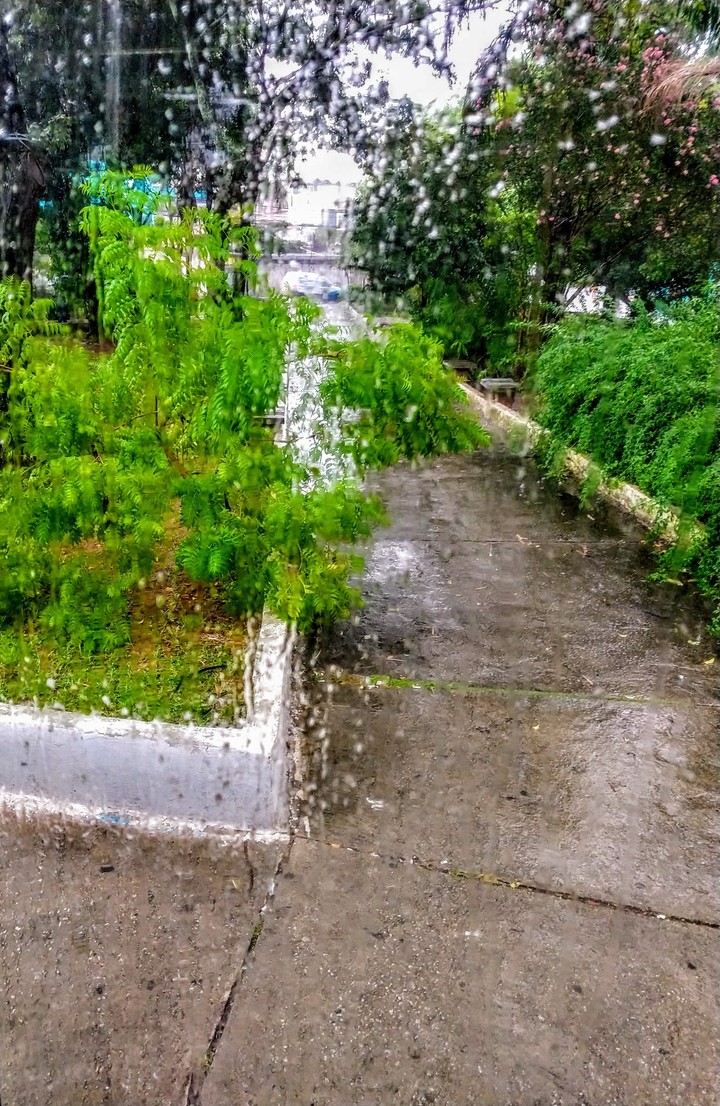 natureza
