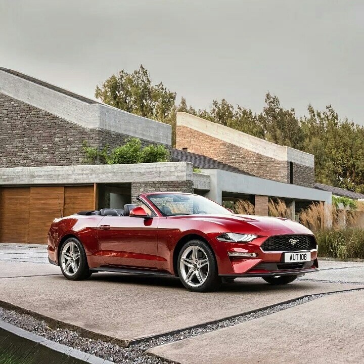 mustang