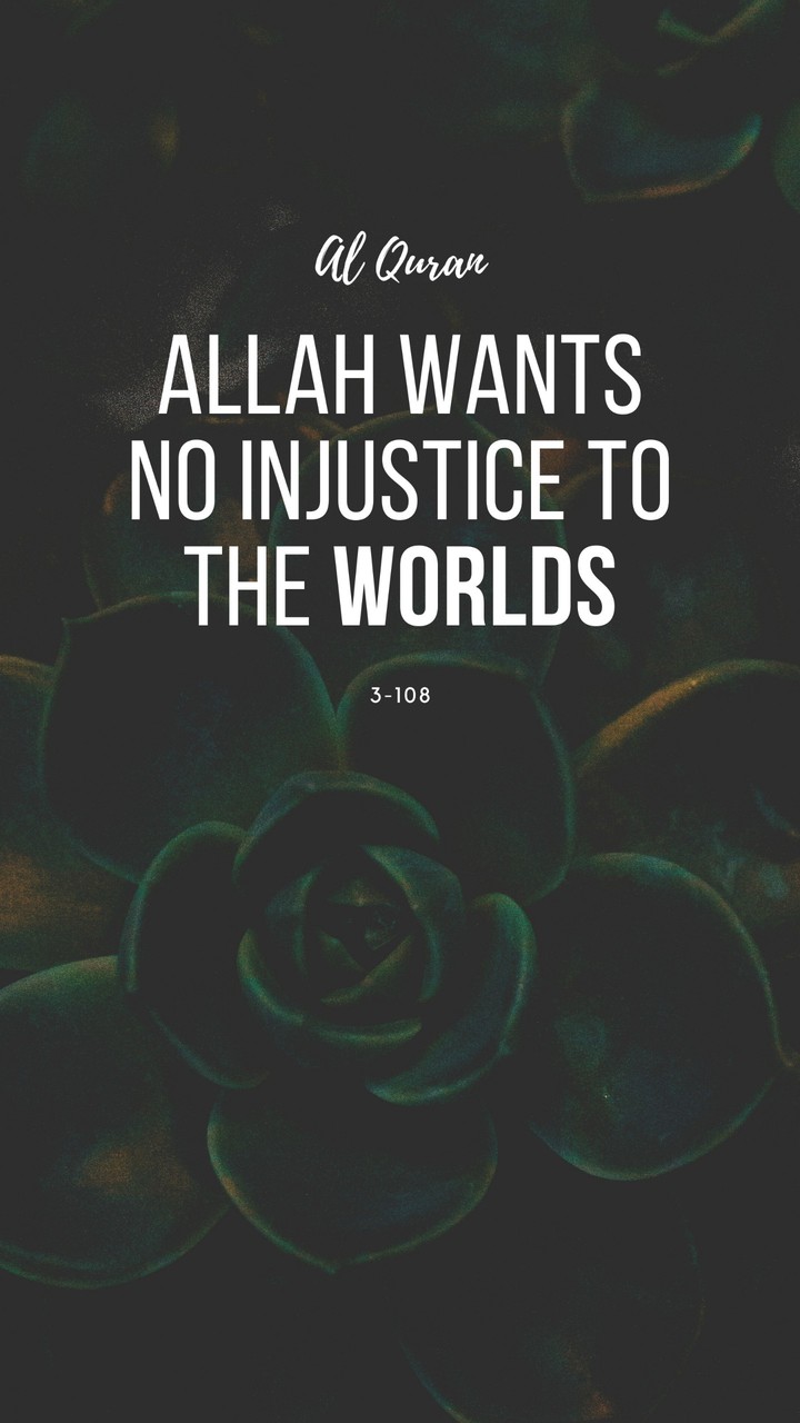 islam islamic Allah