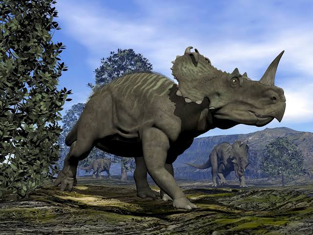 Kannada