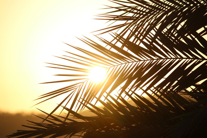 sunset