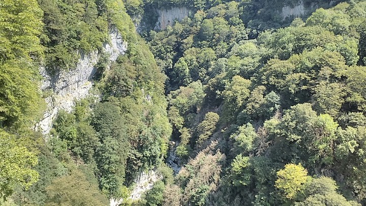 nature