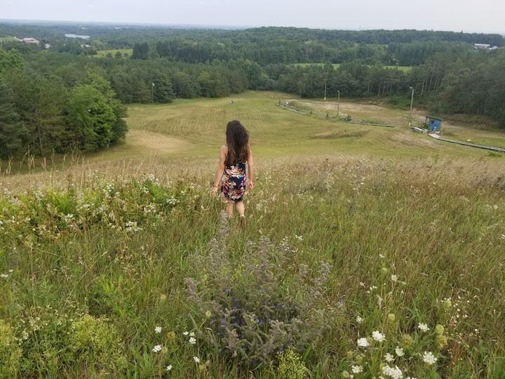 serenity