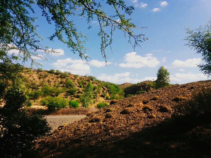 scenery