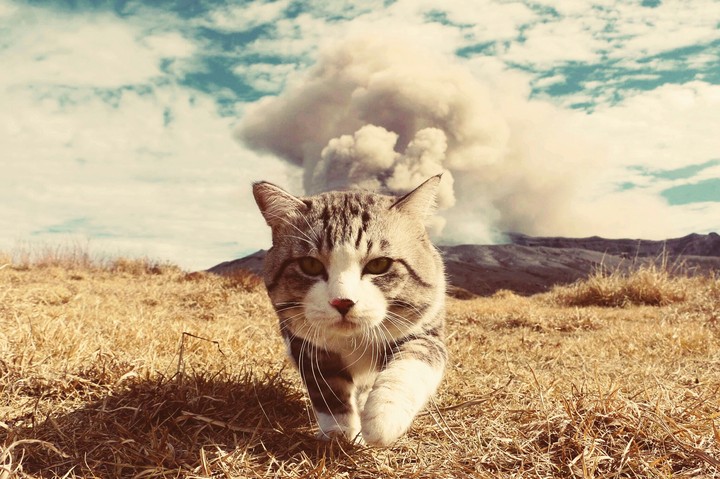 explosión