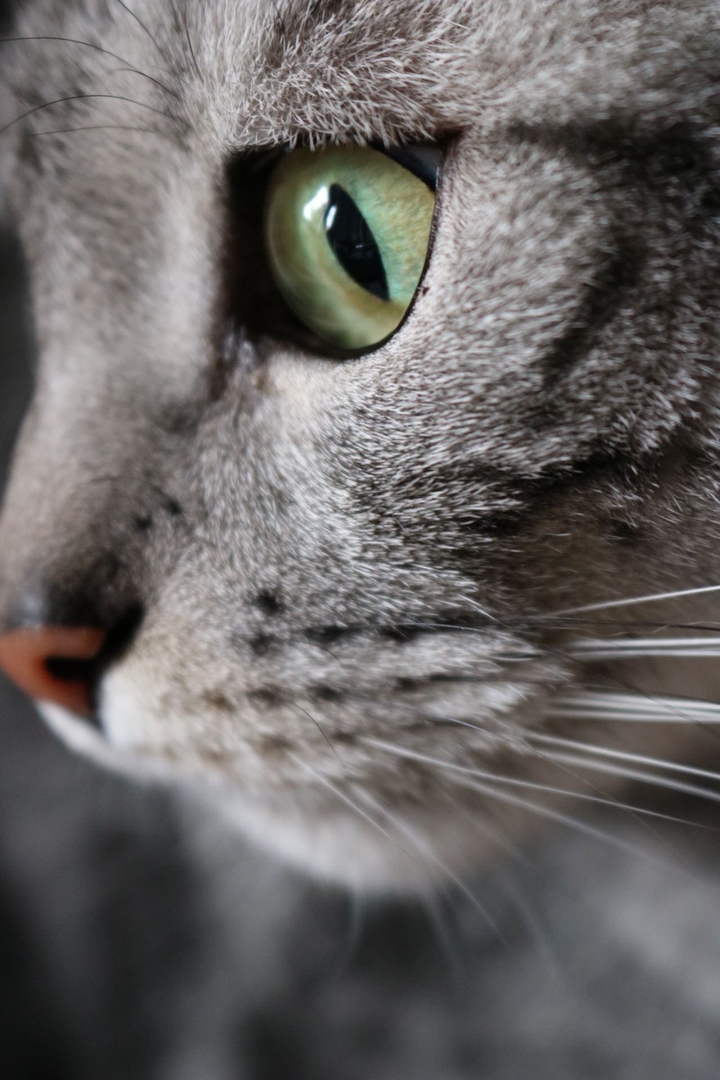 Green eyes