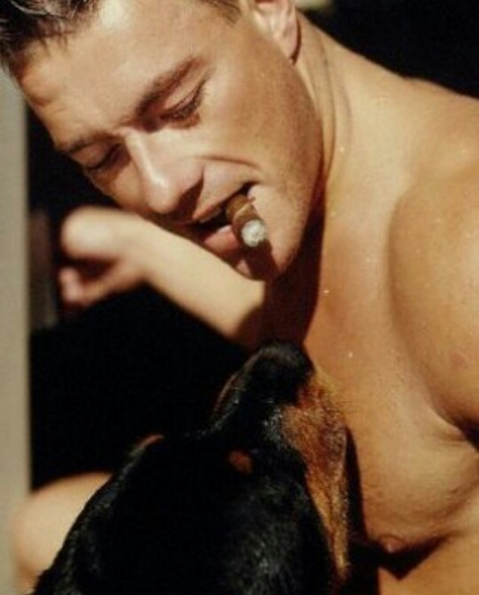JCVD Badass look.