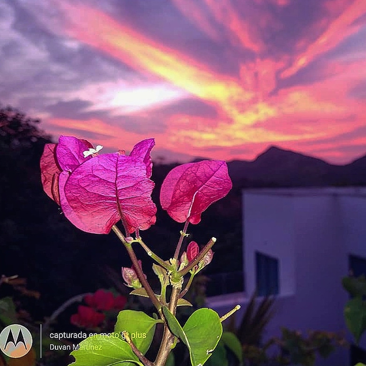 Atardecer