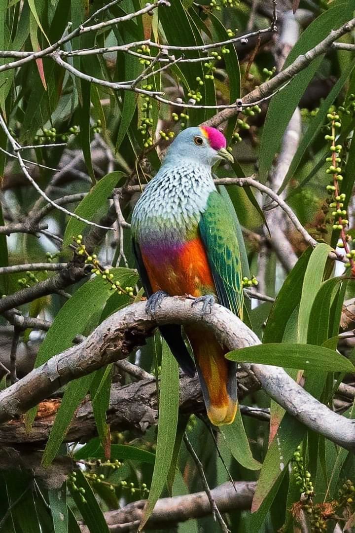 Colorful