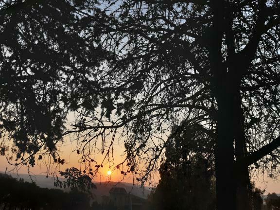 Nature