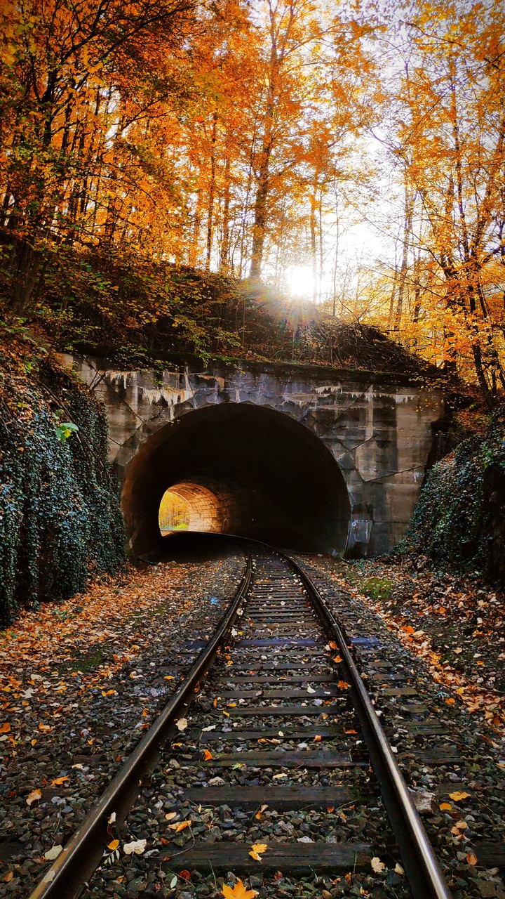 fall