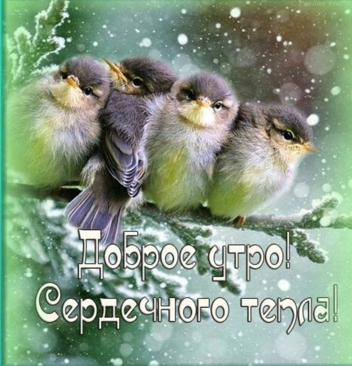 вам в любое время года!