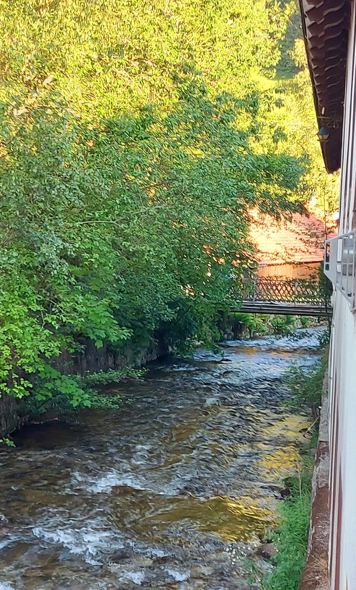 bachlauf