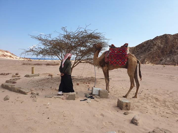 Egypt