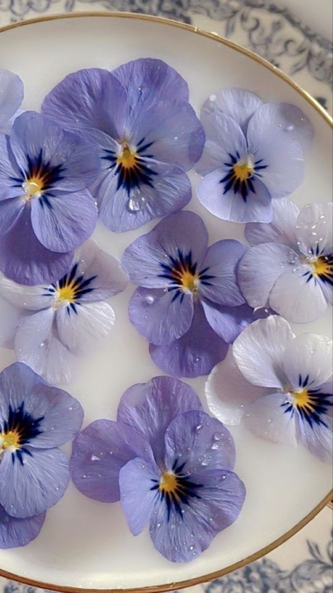 tapety flower, pansy