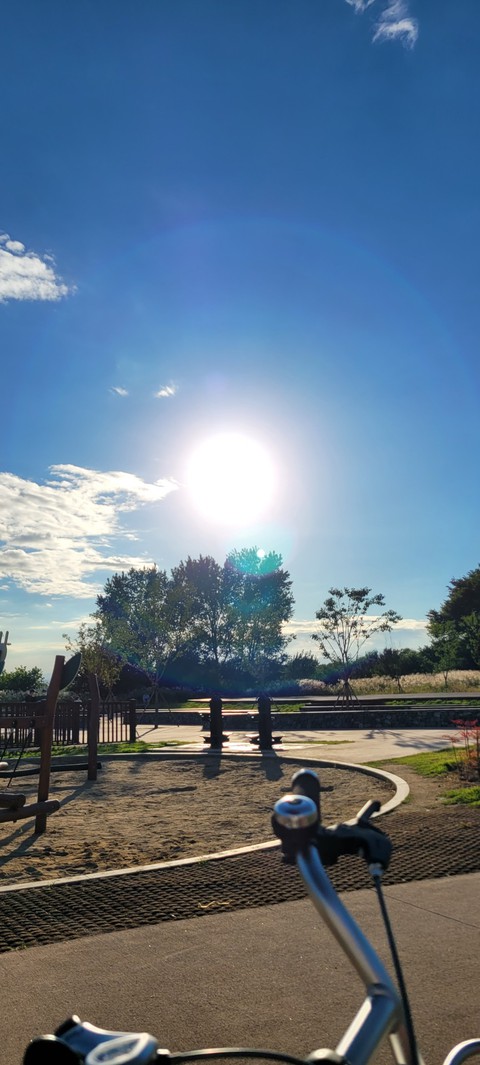 Korea sunshine