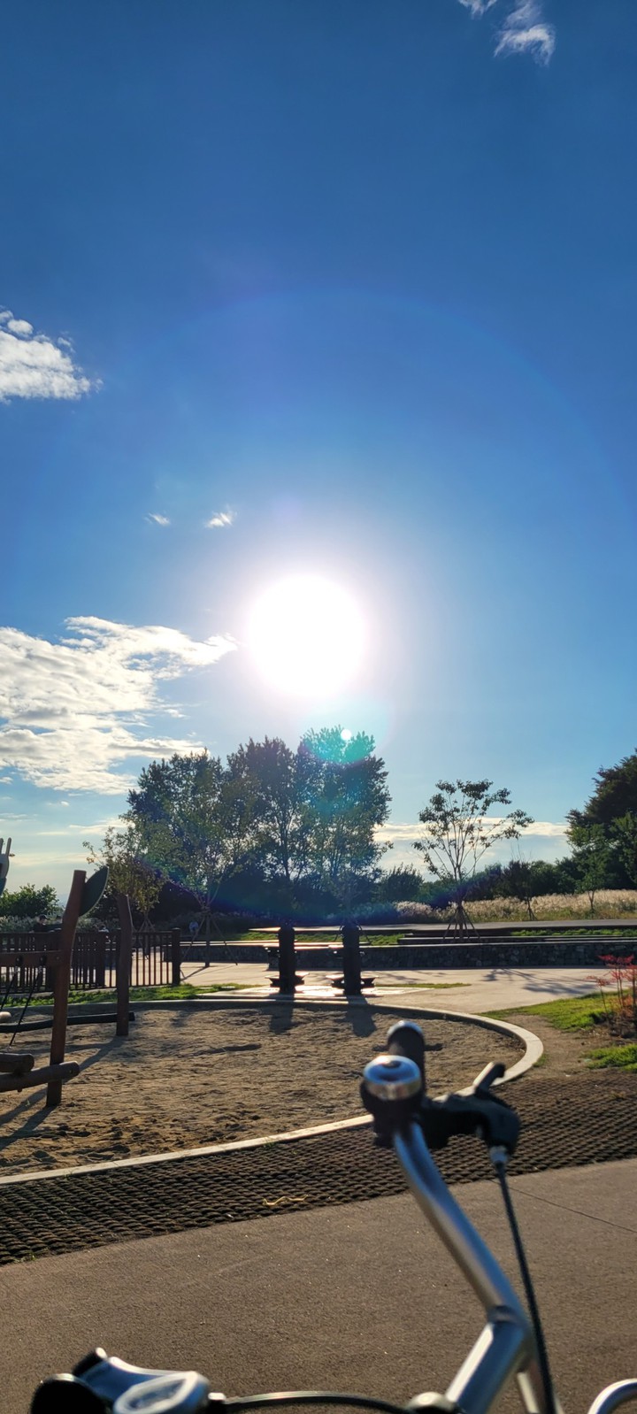 Korea sunshine