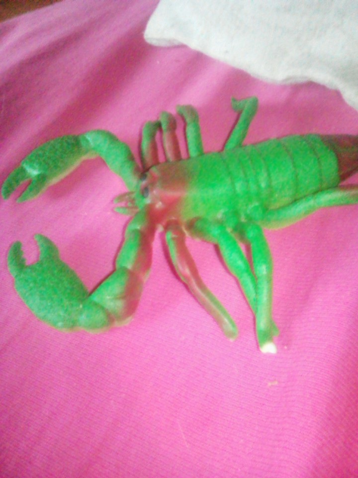 скорпи