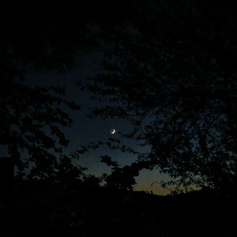 moon