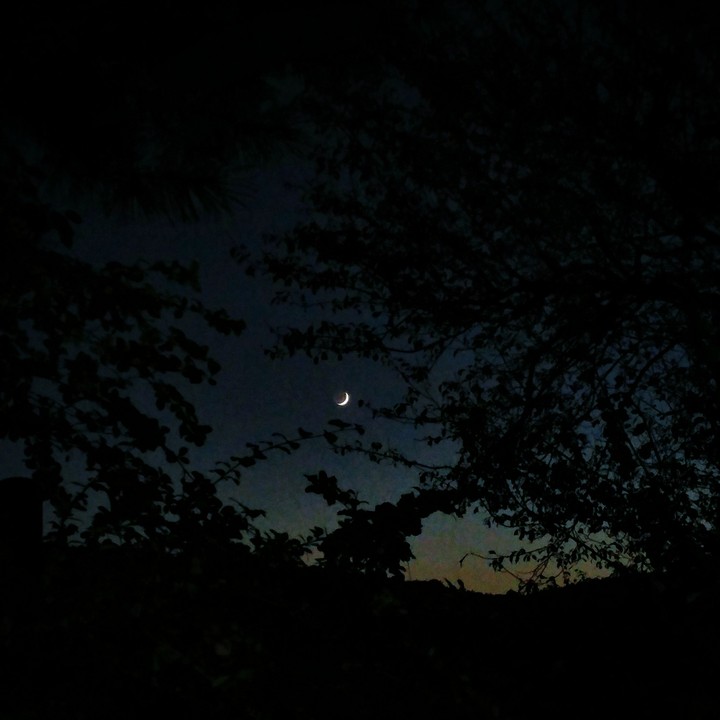 moon 