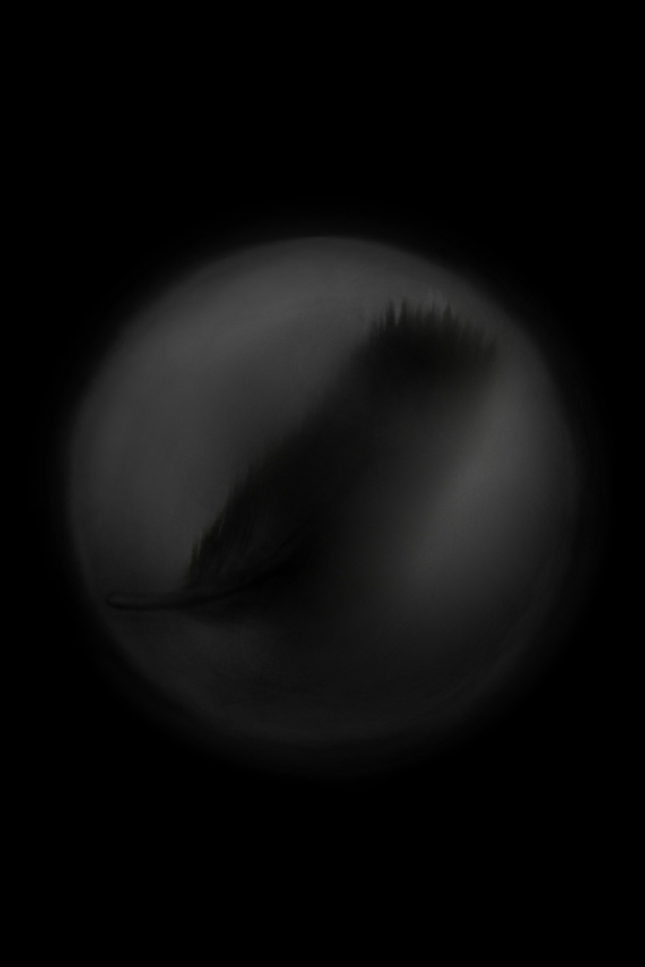 Plumelet