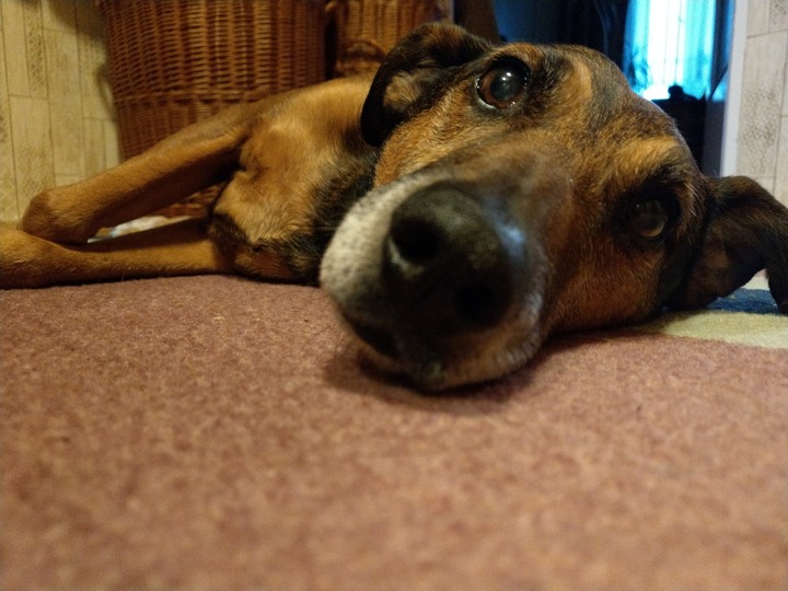 best friend