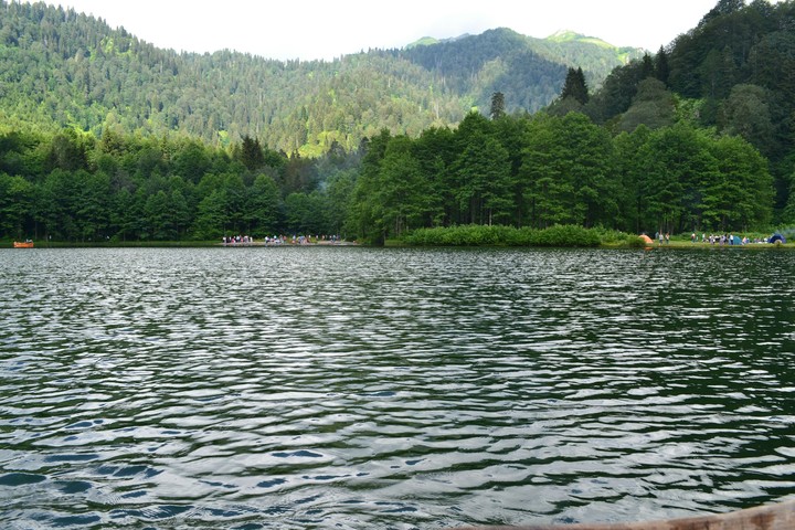 Doğa