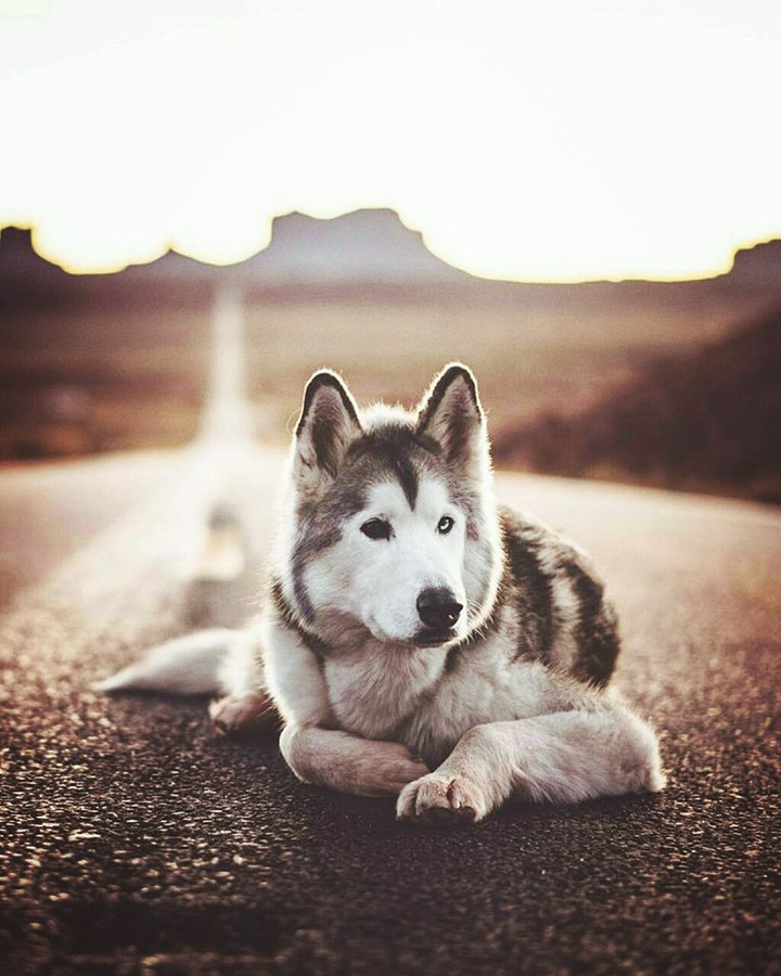 um amigo
