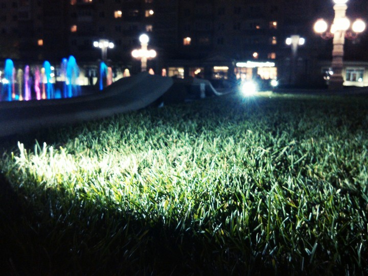 A grass in the town