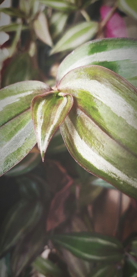 detalles