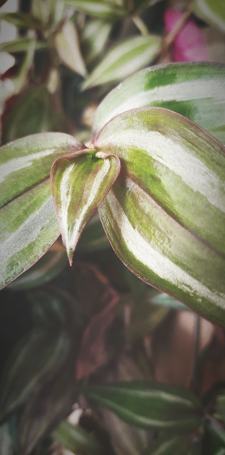 detalles