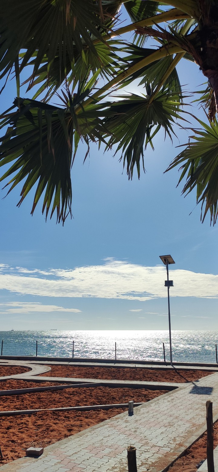 seashore