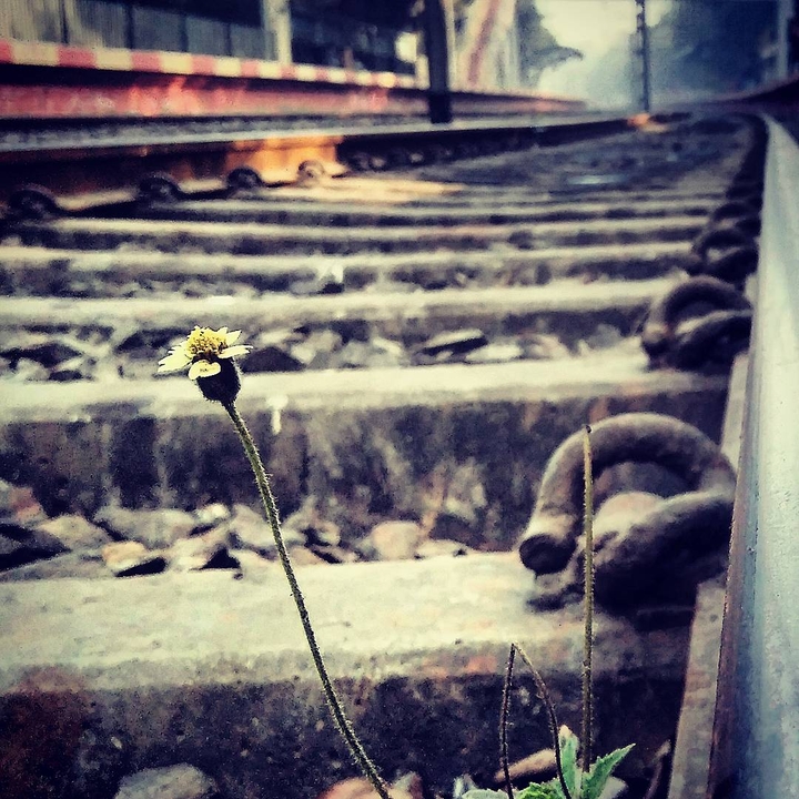 Tiny Life