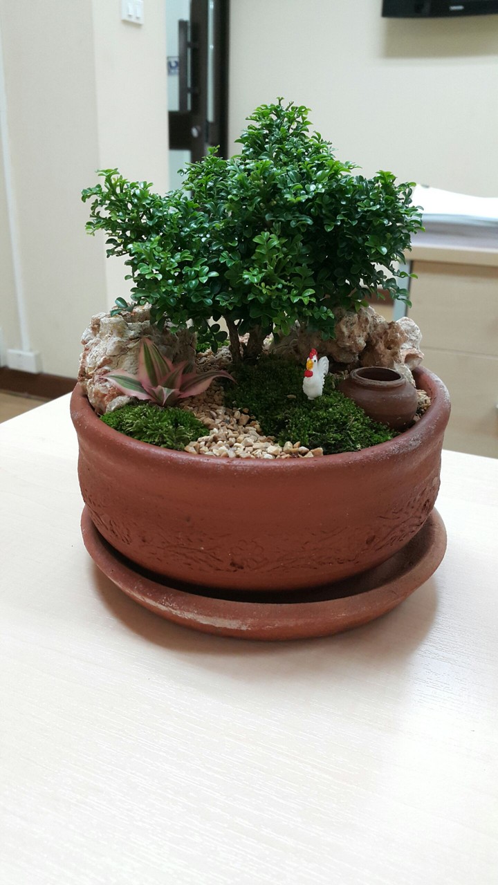 little tree