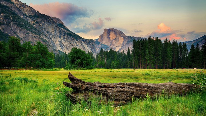 nature