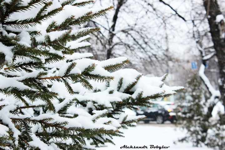 winter