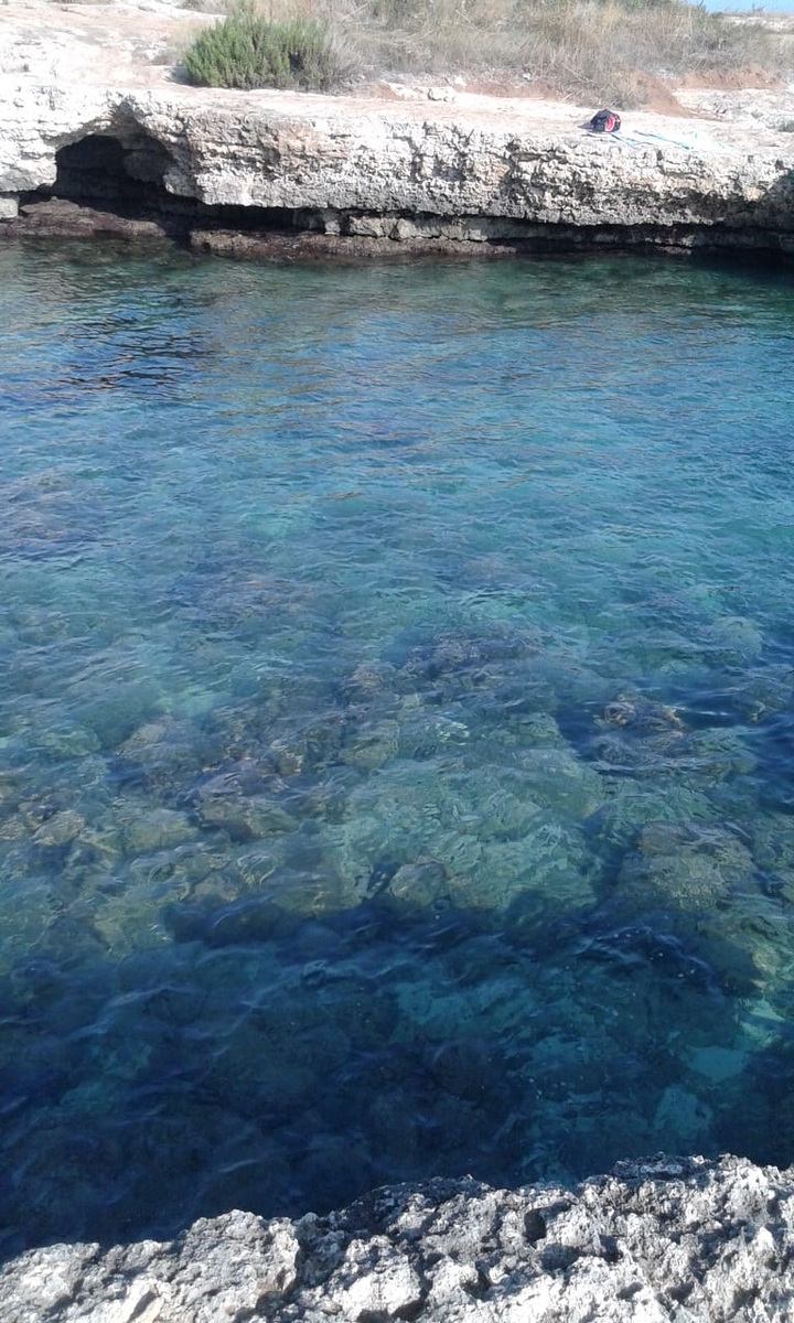 Mar Adriatico